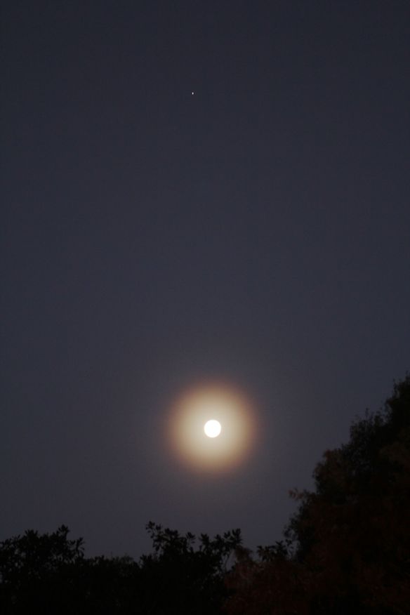 MoonHalo20131218-1