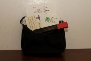 LiseMeitnerPurse