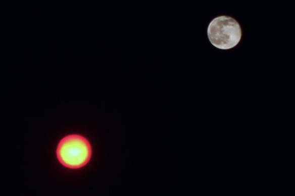 MoonAndStoplight20160522