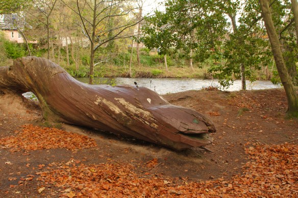 LochNessMonsterFeathers20171109