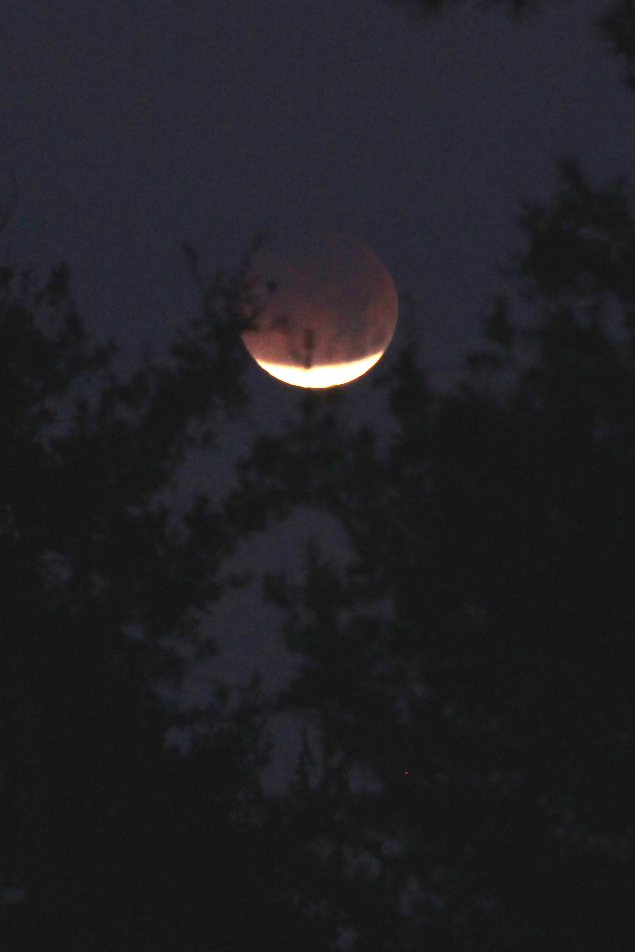 LunarEclipse20180131-1