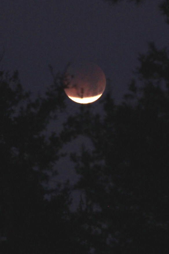 LunarEclipse20180131-1