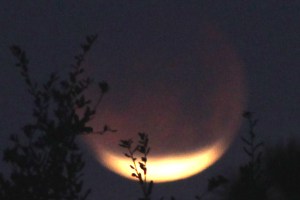 LunarEclipse20180131-2