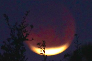 LunarEclipse20180131-3