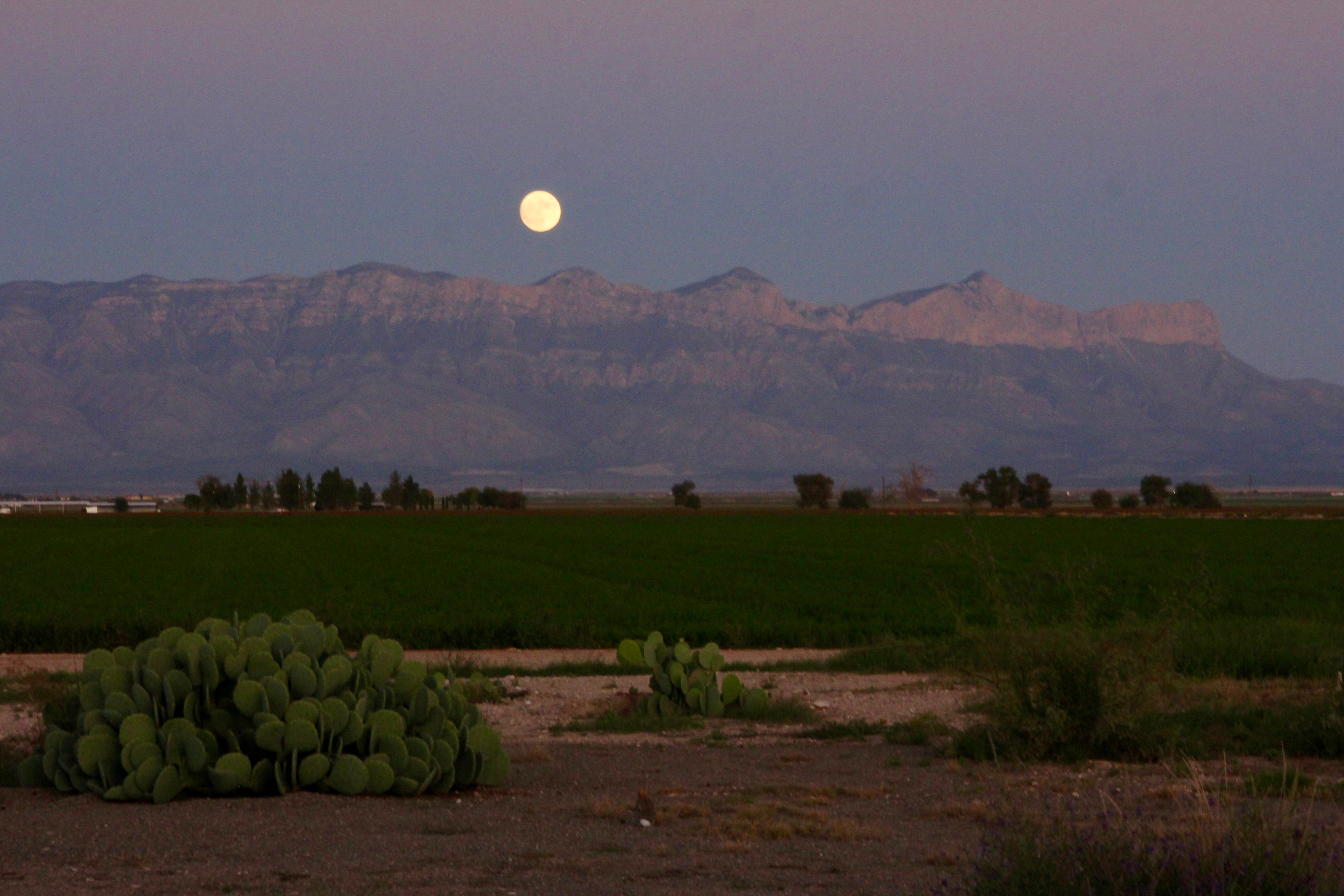 MoonriseWithBunny 20191012