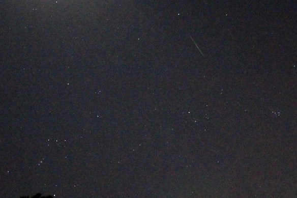 Geminids 20191213 - 1 of 7