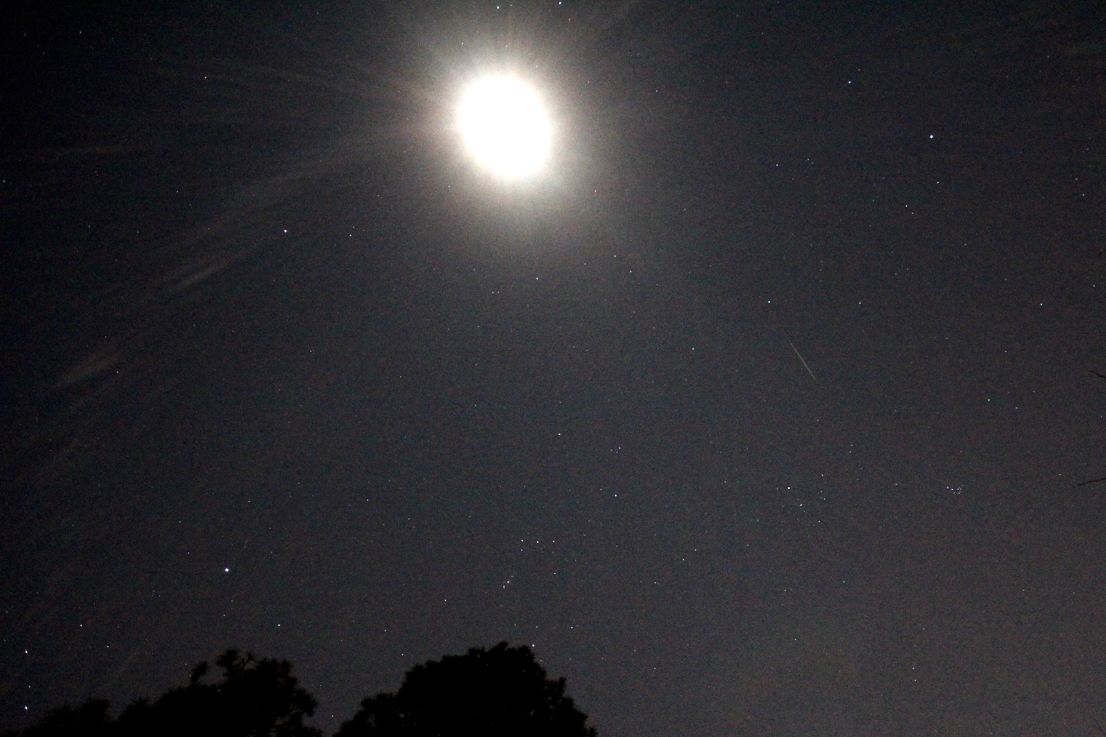 Geminids 20191213 - 2 of 7