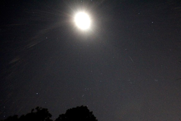 Geminids 20191213 - 2 of 7