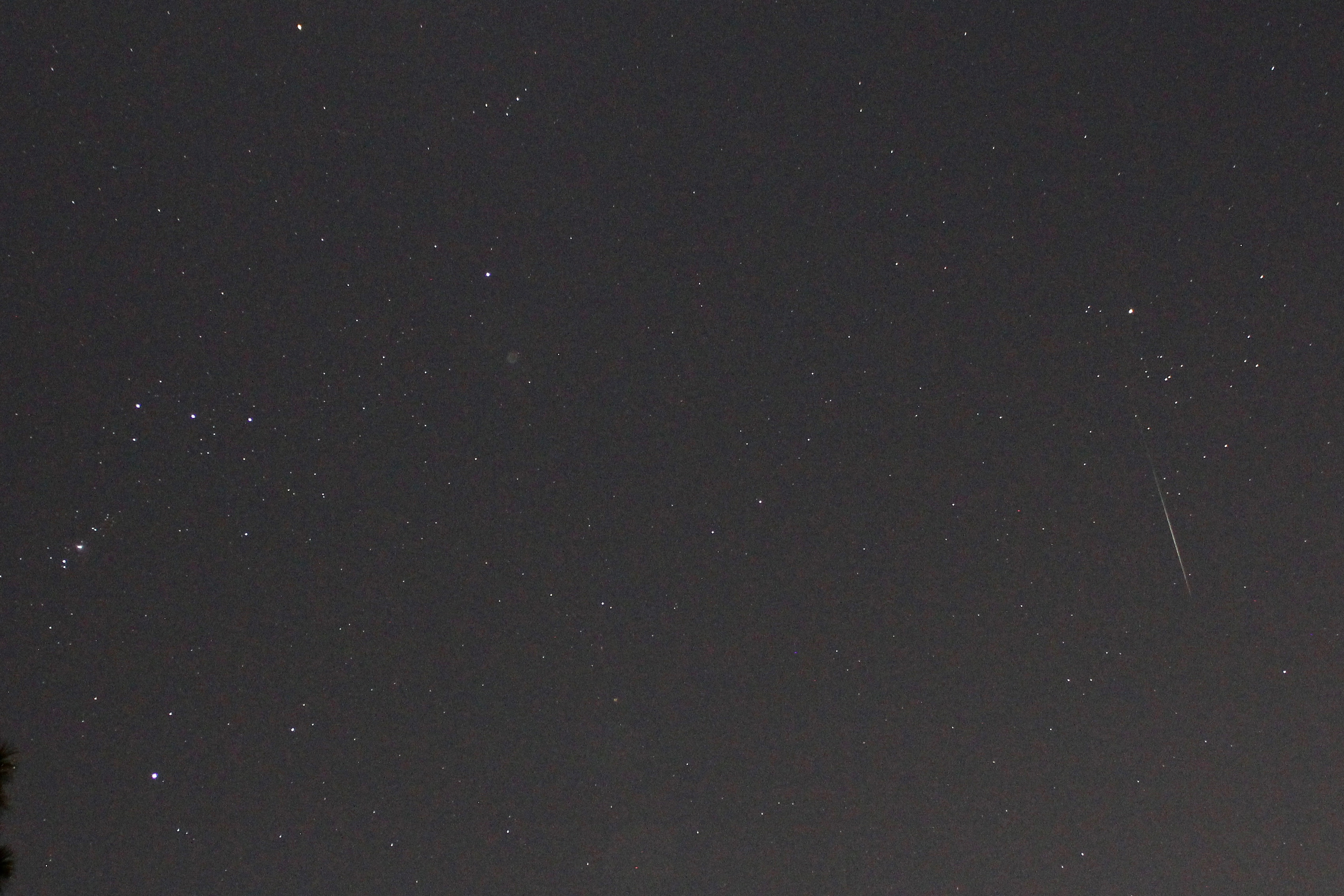 Geminids 20191213 - 5 of 7