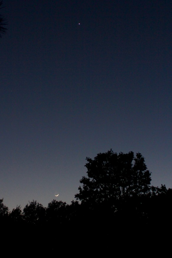 MoonAndVenus 20200424