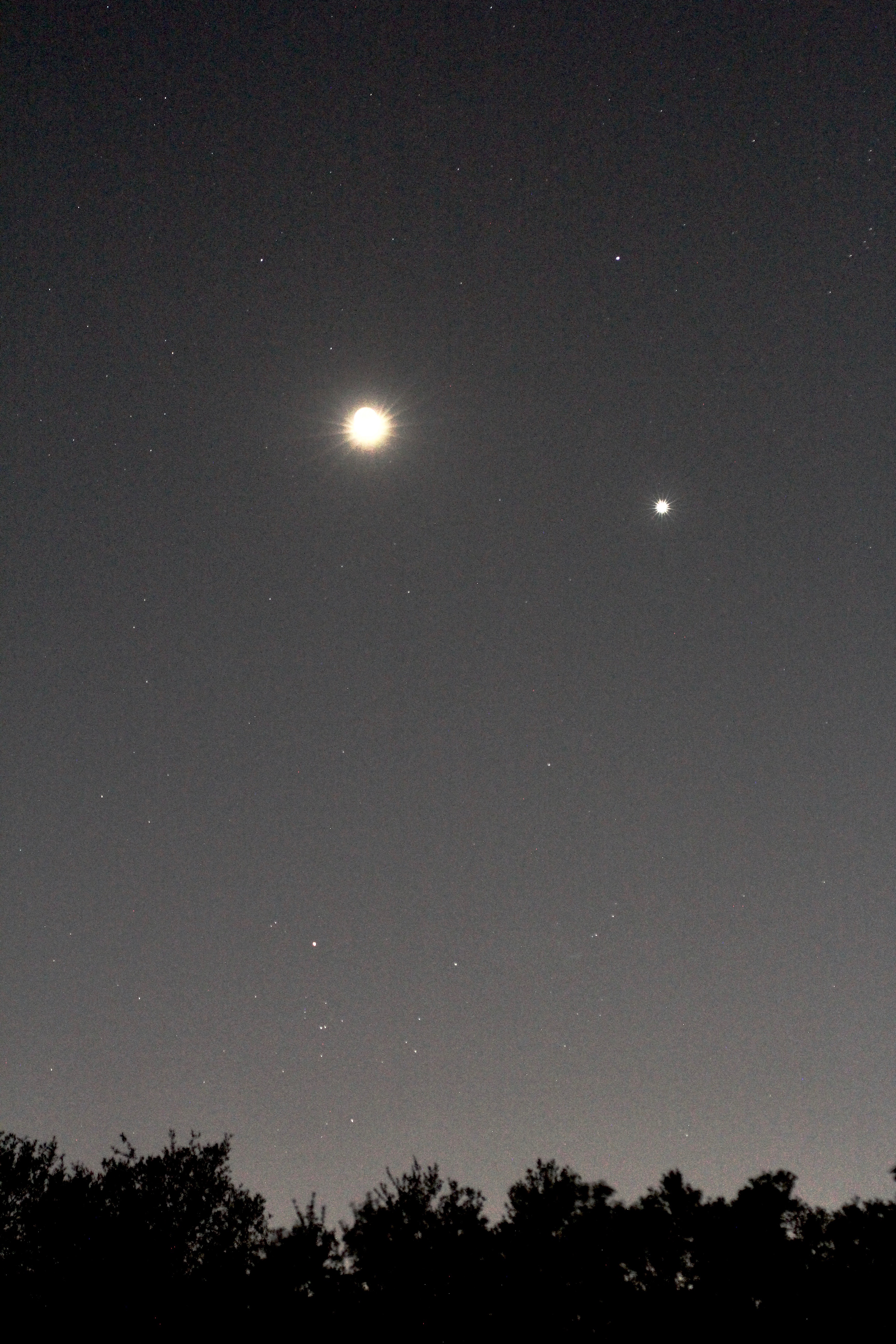 TaurusMoonVenus 20200426