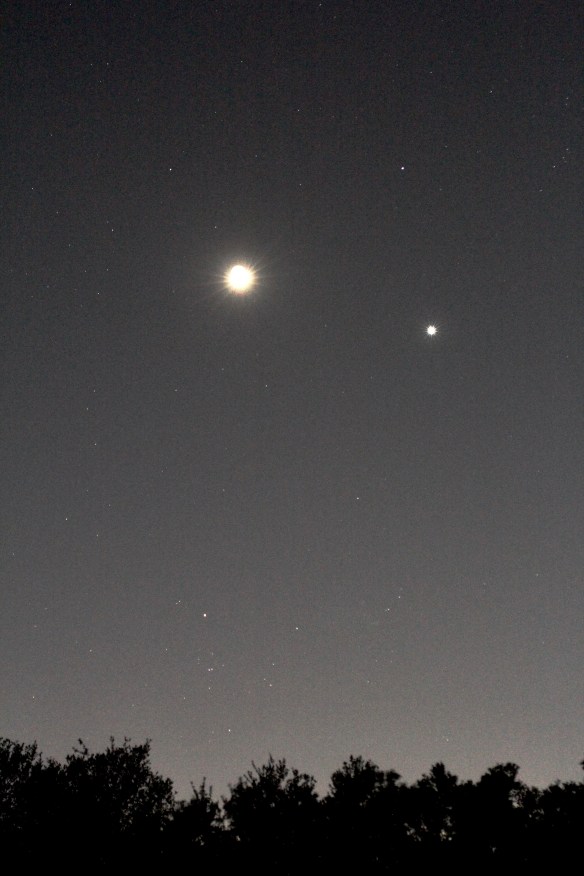 TaurusMoonVenus 20200426